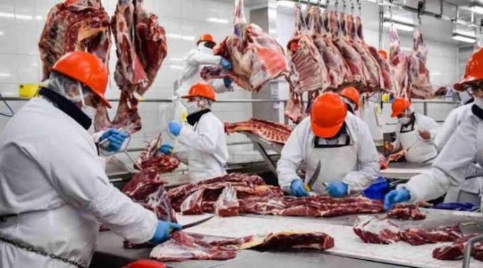 Exportaciones de carne vacuna: crecieron 7% interanual en 2026