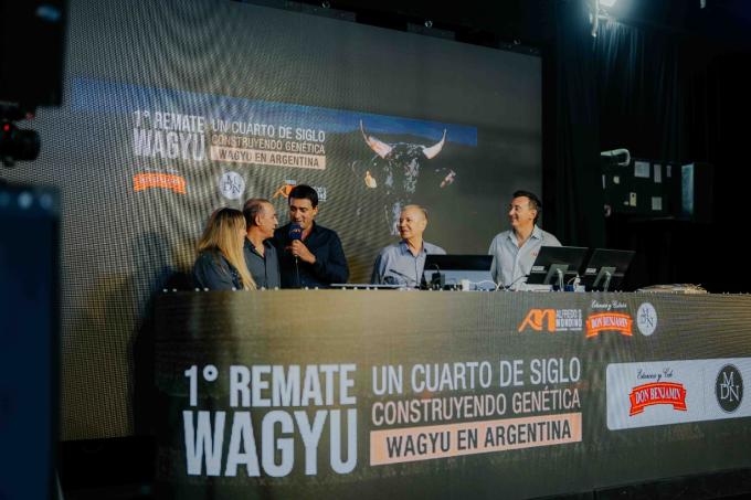 Wagyu en ArgenCarne 2026: la raza que busca agregar valor a la carne