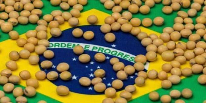 Súper Niño: Brasil podría perder 17,6 millones de toneladas de soja