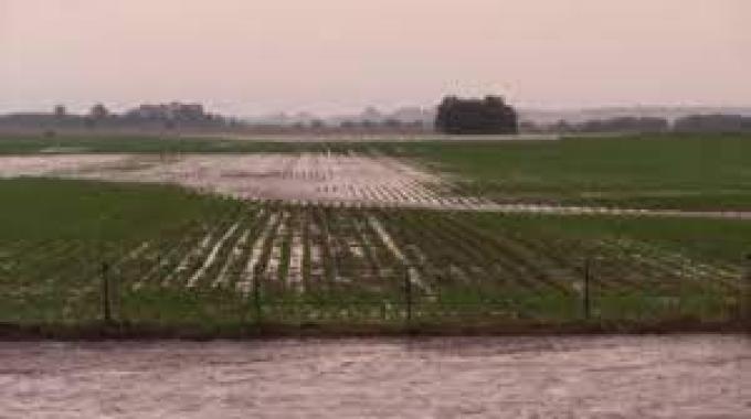 Lluvias en noviembre: prevén más de 100 mm en zonas del NOA y el Litoral