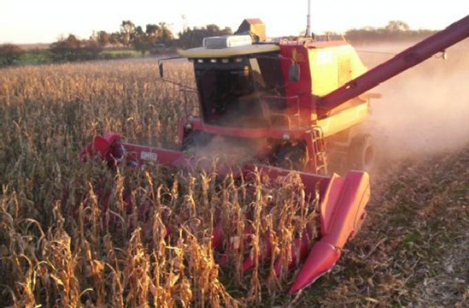 PRODUCTORES DE GRANOS BUSCAN REFUGIO EN LOS MERCADOS A FUTURO