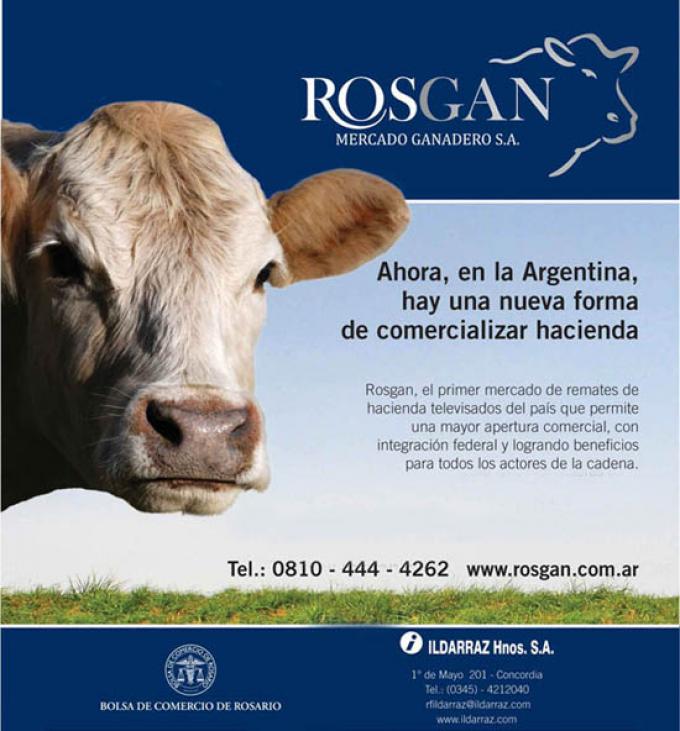 DIVERSIFICADA OFERTA DE CABEZAS EN EL PRÓXIMO REMATE DE ROSGAN
