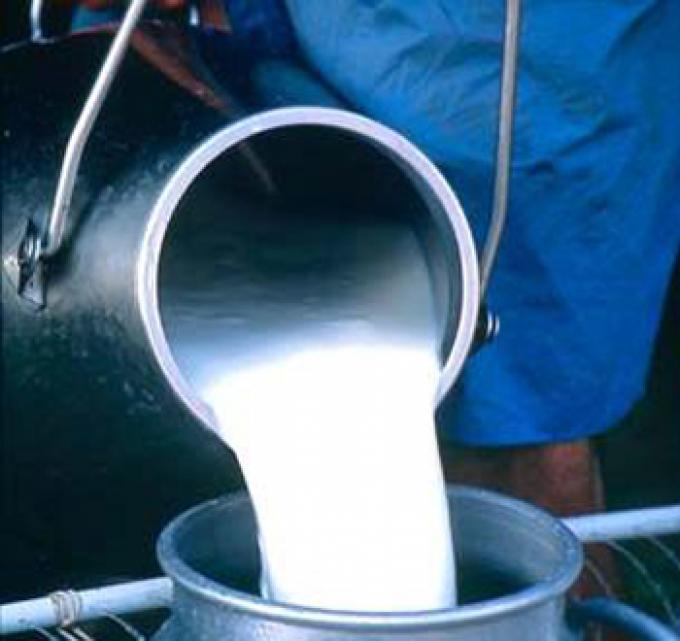 SANTA FE: EL PRECIO PROMEDIO DE LA LECHE EN JUNIO FUE DE 0,37 U$S/LITRO