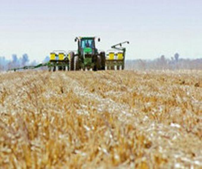 A PESAR DE LA CRISIS, LOS PRODUCTORES MANTIENEN SUS PLANES DE SIEMBRA