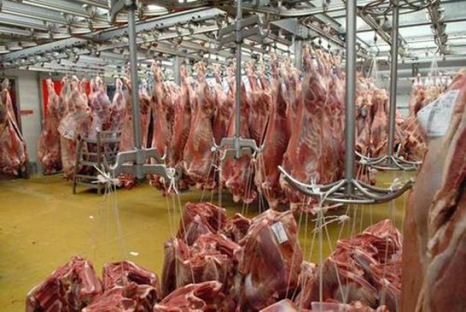 CARNE: SE EXPORTA LA MITAD QUE EN 2009, AÑO DE LA RECESIÓN GLOBAL