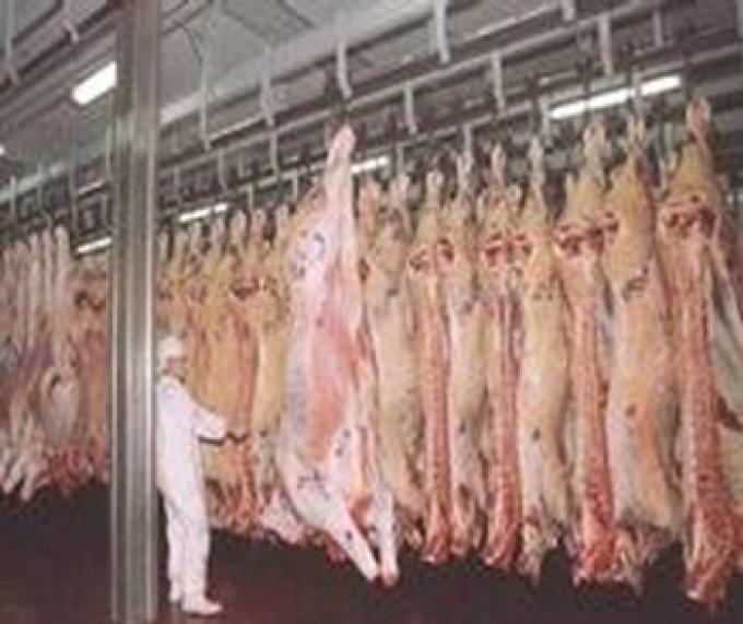 URUGUAY PODRÁ EXPORTAR CARNE DE FEED LOT A EUROPA CON ARANCEL CERO.