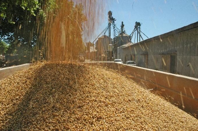 LAS BOLSAS DE CEREALES PIERDEN PESO EN EL MERCADO DE GRANOS