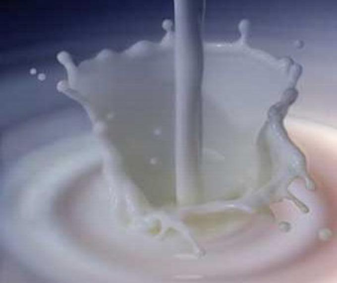 TAMBEROS PIDEN QUE HAYA "VERDADERA COMPETENCIA" POR LA LECHE CRUDA