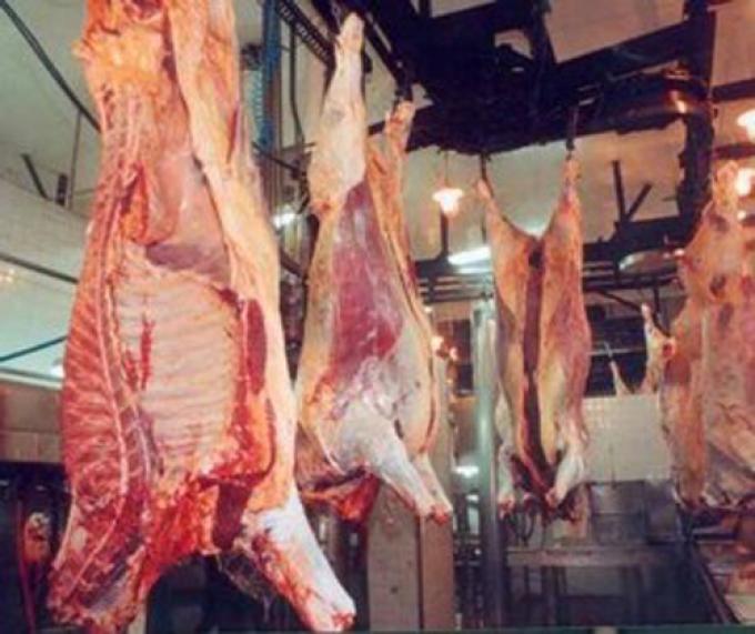 REPUNTAN LAS VENTAS DE CARNE VACUNA AL EXTERIOR