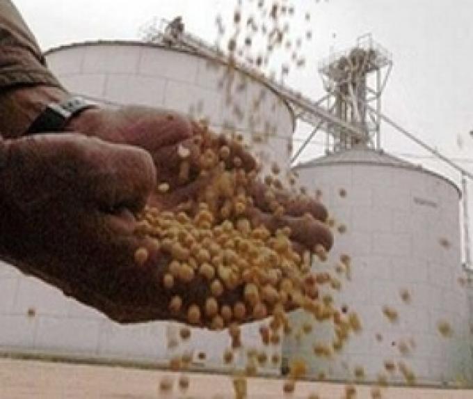 EL VALOR DE LA COSECHA CAYÓ 1000 MILLONES DE DÓLARES 