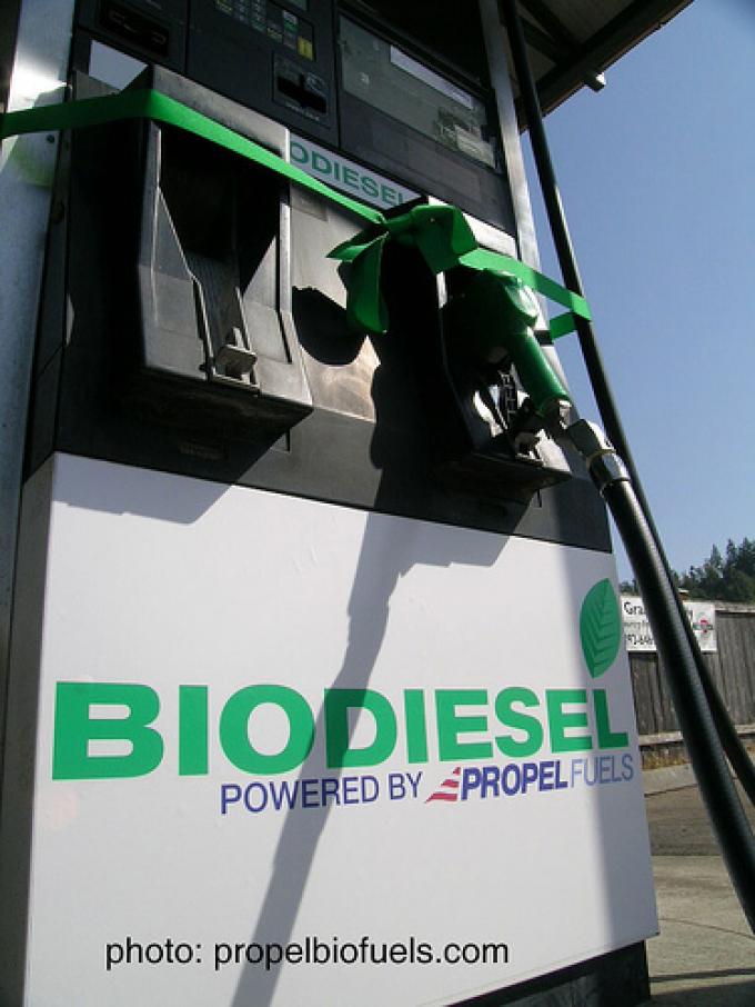 EXPORTACIÓN DE BIODIÉSEL YA SUPERÓ LOS 1.790 MILLONES DE DÓLARES  