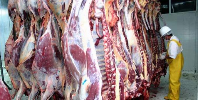 NUEVE MESES DE CAÍDA EN LA EXPORTACIÓN DE CARNES