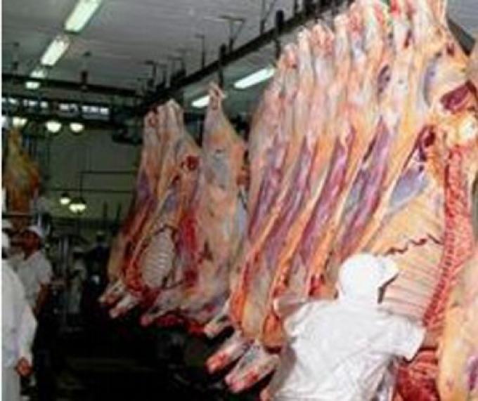 COMIENZA A RECUPERARSE LA OFERTA DE CARNE Y PUEDE BAJAR EL PRECIO
