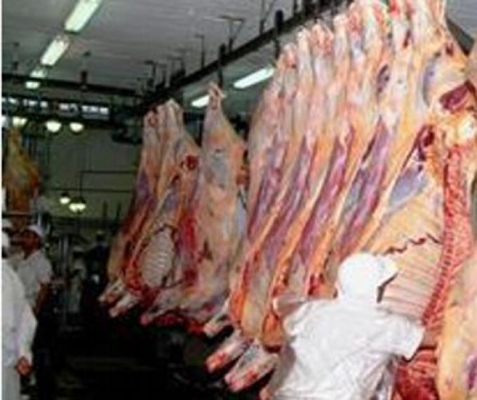 CREAN REGISTRO PARA FEED LOTS QUE QUIERAN EXPORTAR CARNE A EUROPA CON ARANCEL CERO