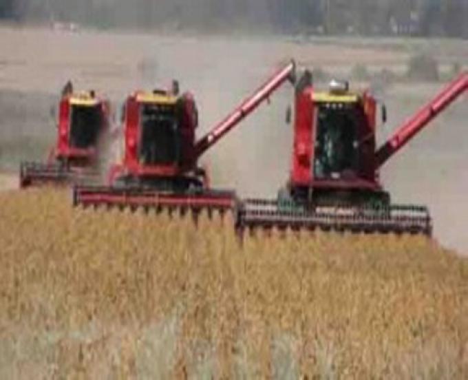 COSECHA DE SOJA RETRASADA POR EXCESO DE LLUVIAS