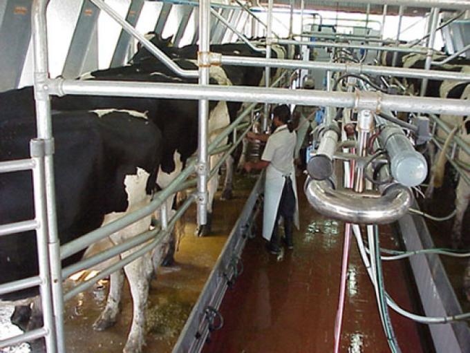 MOVILIZACIÓN NACIONAL LECHERA EL 28 DE MARZO DE 2012 EN RAFAELA: