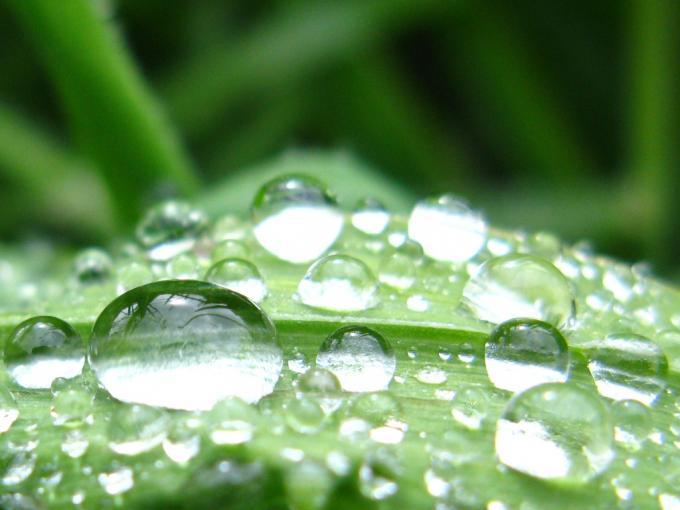 ESCASAS LLUVIAS EN LA MAYOR PARTE DEL ÁREA AGRÍCOLA 