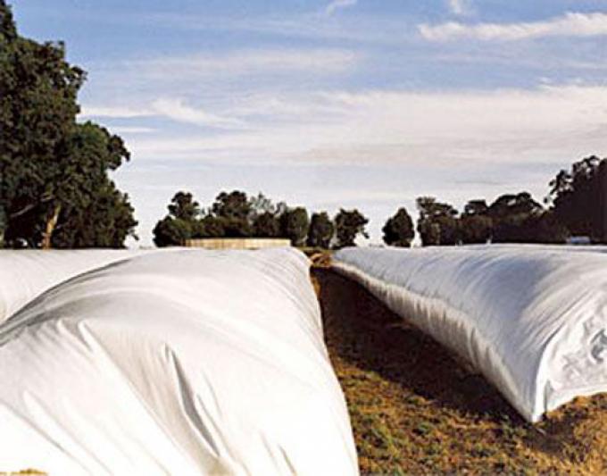 SERÁ FUNDAMENTAL LA PUESTA A PUNTO DEL SISTEMA DE MANEJO DE GRANO HÚMEDO