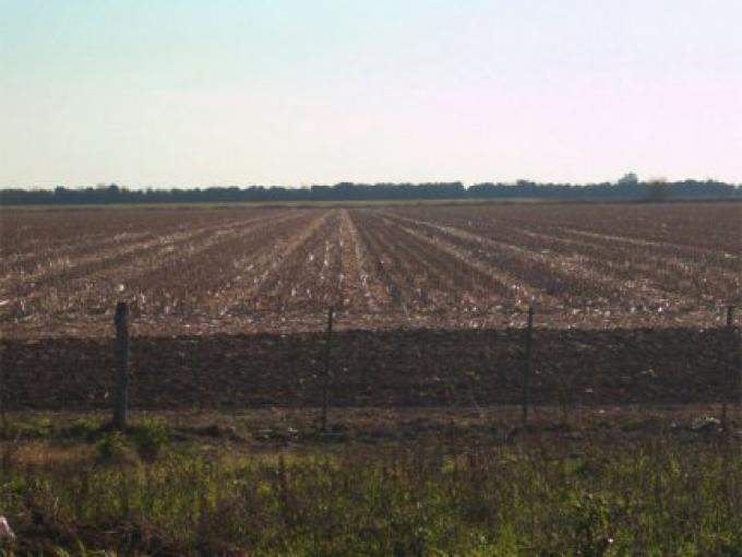 BUSCAN PROMOVER UNA LEY PARA FISCALIZAR EL USO DE LAS TIERRAS