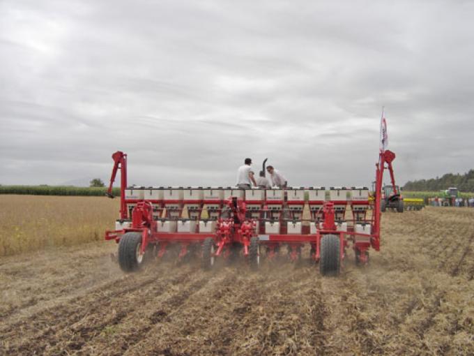 2012/13: UN TRIGO DE CASI 3,6 M DE HA