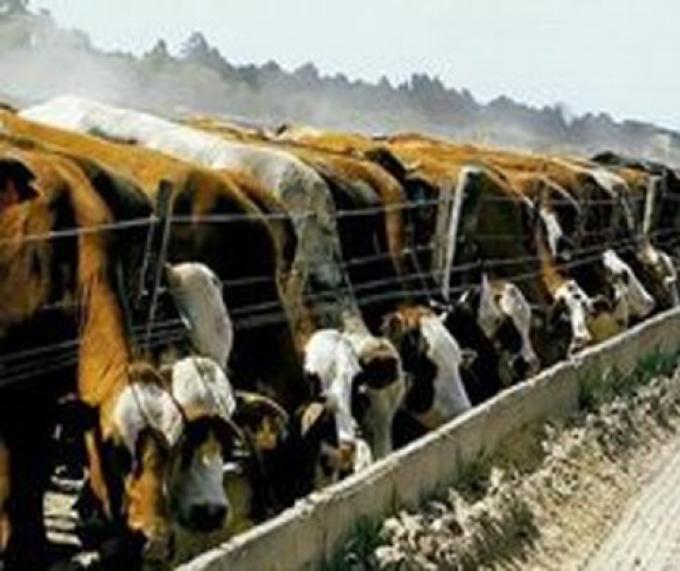 JULIO FINALIZÓ CON OFERTA DE HACIENDA EN ALZA