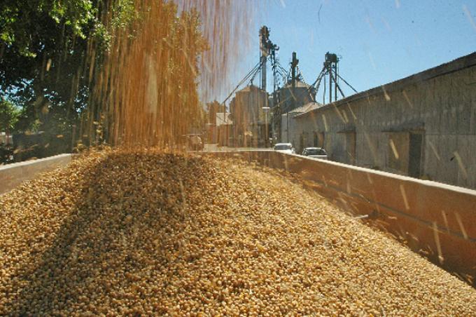EL GOBIERNO SE QUEDARÁ EN 2013 CON 75% DE LA RENTA QUE GENERA LA SOJA