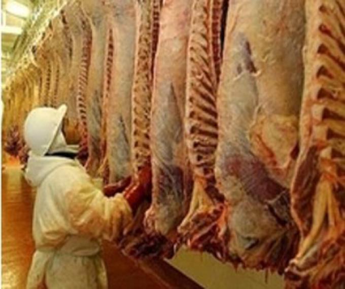 EN SIETE AÑOS, EXPORTACIONES DE CARNE DISMINUYERON 75%