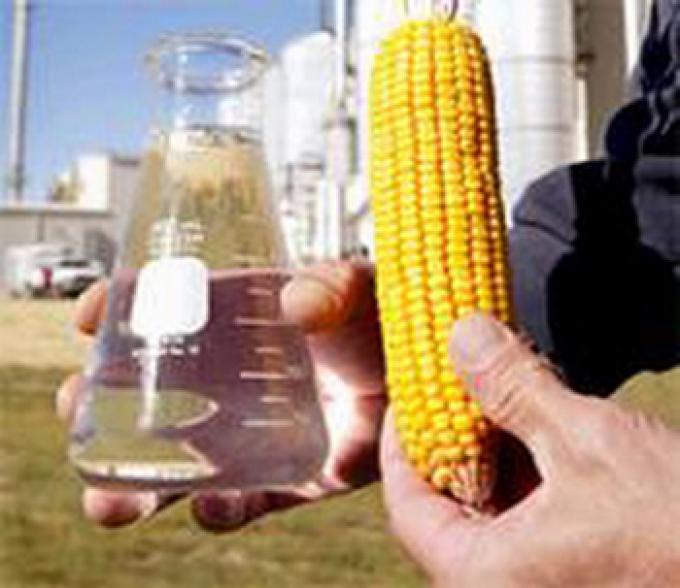 ARGENTINA COMENZÓ A PRODUCIR ETANOL EN BASE A MAÍZ