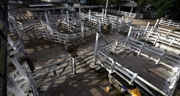 POR FALTA DE CALIDAD, SE NEGOCIÓ EN BAJA EL VALOR DE LA HACIENDA