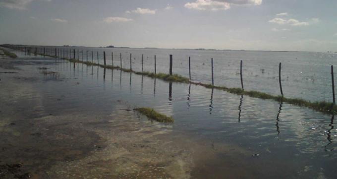 Si no se termina de ir el agua, la caída en la superficie maicera será mayor