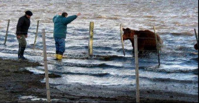 Los campos están saturados de agua y la situación se vuelve crítica
