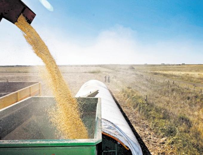 Los argentinos no saben que vivimos de la soja