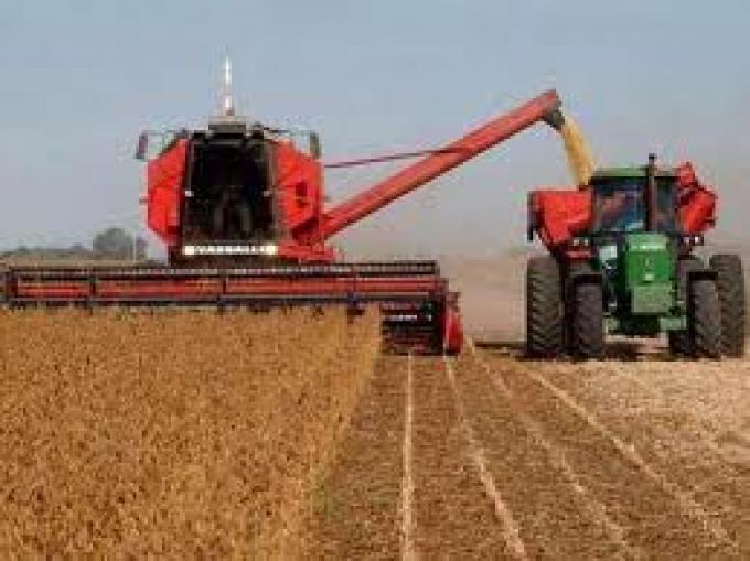 ¿Cuánto quintales por hectárea está dando la soja en la zona núcleo?