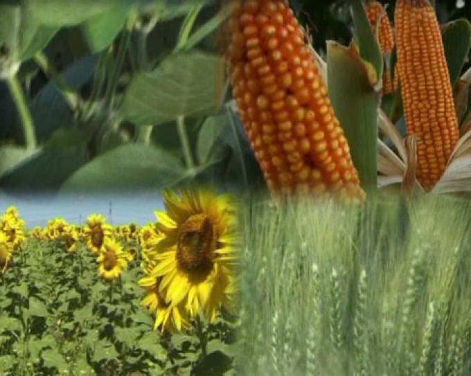 Advierten por trabas a la producción del campo