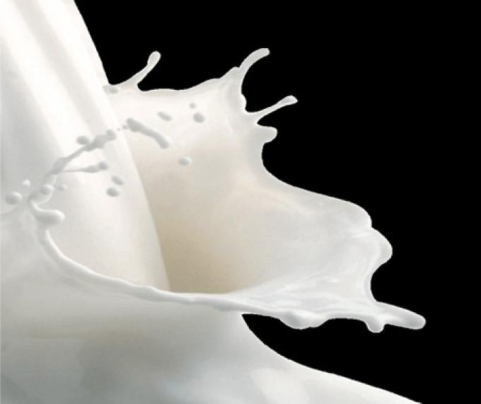 Los lecheros quieren U$S 0,46 por litro de leche