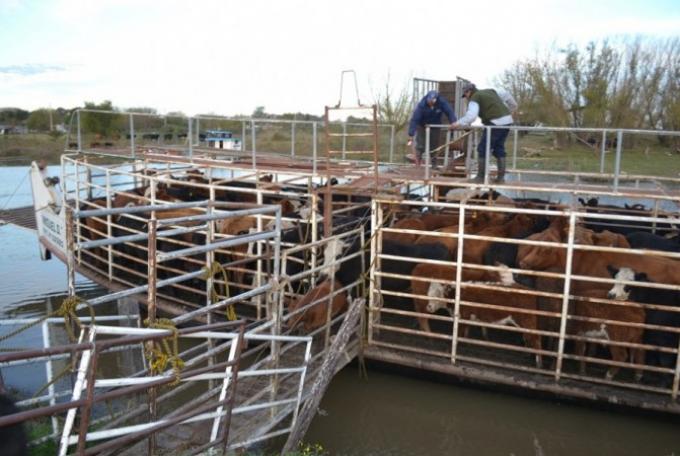 Alerta máxima en el Litoral por la crecida del Paraná