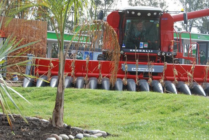 La muestra K del campo se olvidó de la soja, del trigo y de la ganadería