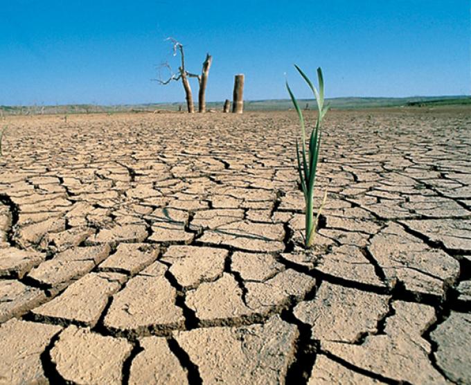 Aconsejan a Bonfatti que declare emergencia agropecuaria por la seca