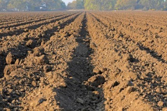 "Estamos debilitando la nutrición de nuestros suelos"