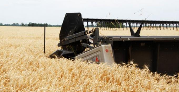 La producción de trigo se ubicaría en las 10.350.000 tns 