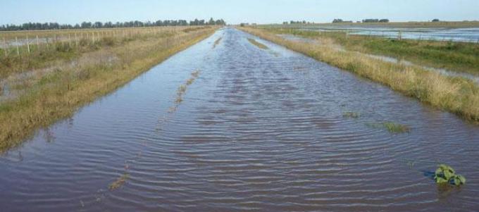 Las lluvias trajeron alivio y mejoran las condiciones para avanzar con la siembra