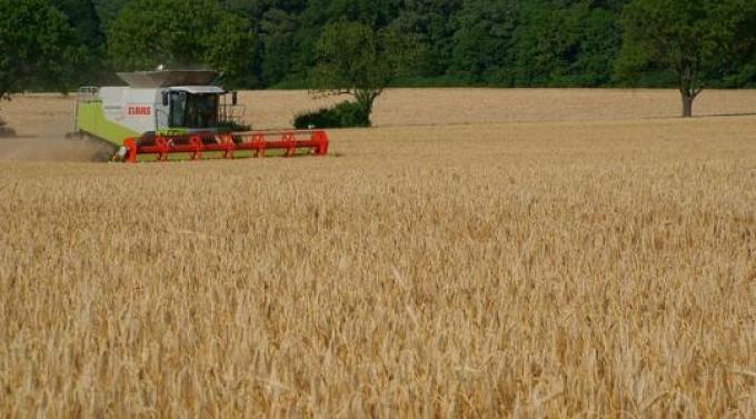 El campo pedirá financiamiento y la liberación del mercado de trigo