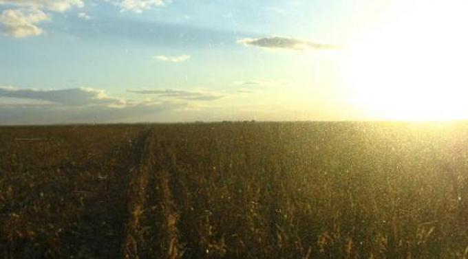 Sin lluvias y con ola de calor, se deterioran el maíz y la soja