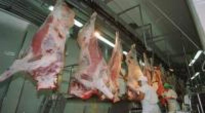 Carne: ofrecen flexibilizar exportaciones