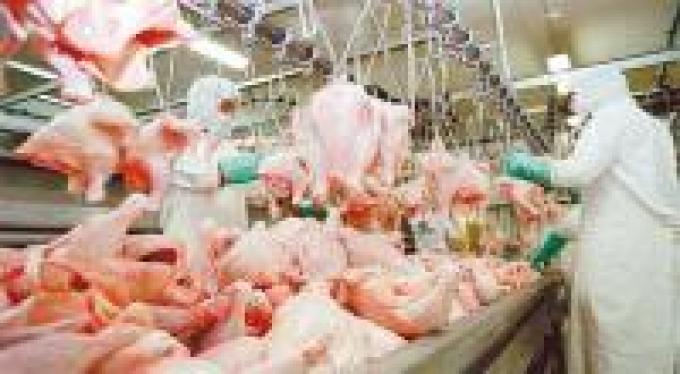 Piden baja en el IVA para aves y cerdos
