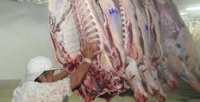 Exportación de subproductos bovinos