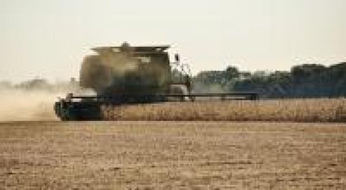 Servicio de la cosecha de soja subió 48%