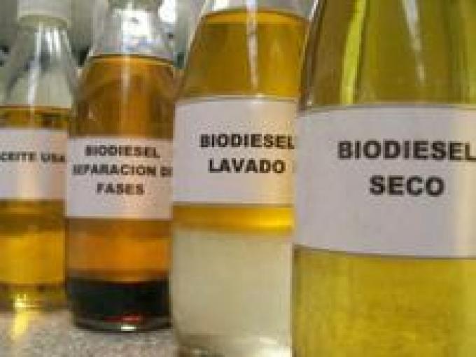 Restricciones europeas afectan a empresas de biodiesel
