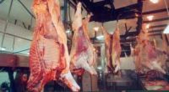 Carne: Producción aumentó un 2,8%