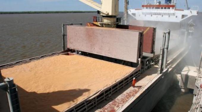 Cerealeras liquidan divisas a ritmo de cosecha